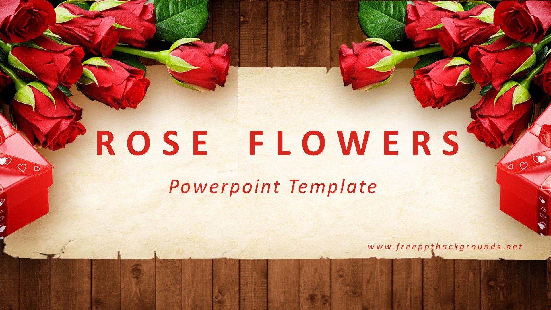 Rose Flower Powerpoint Templates Border & Frames, Flowers, Red Free