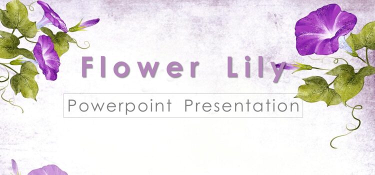 Flower Lilly PPT Backgrounds