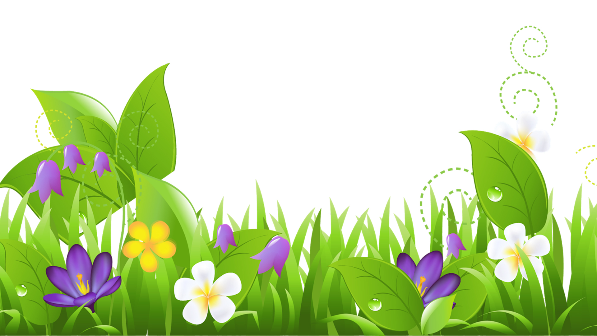 Spring Floral Powerpoint Templates Border & Frames, Flowers, Green