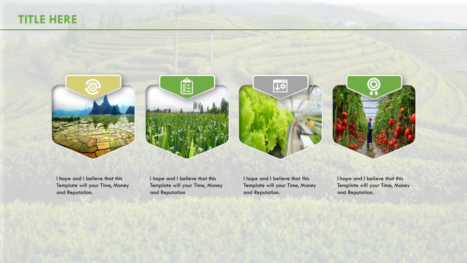 Organic Farming Powerpoint Templates - Food & Drink, Green, Nature ...