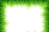 Frame Grass Green Background