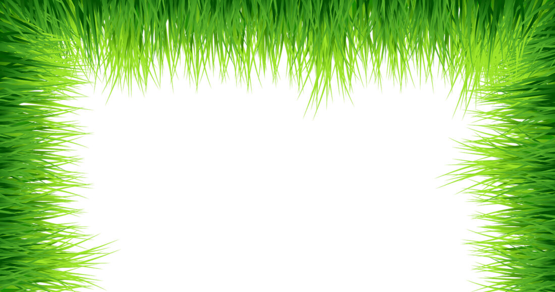 Frame Grass Green Background