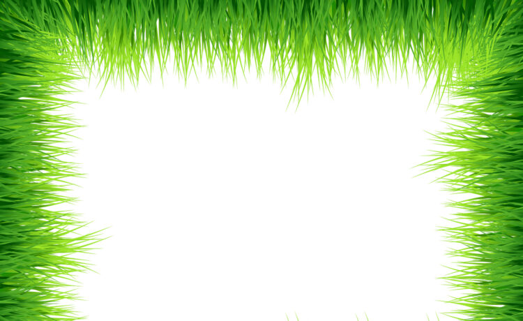 Frame Grass Green Background